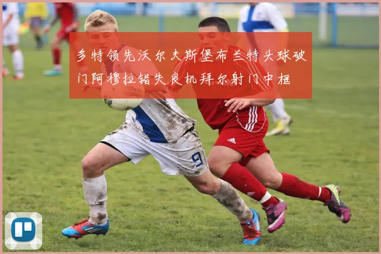 多特领先沃尔夫斯堡布兰特头球破门阿穆拉错失良机拜尔射门中框